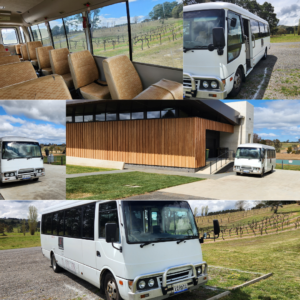 Collage photos of bus